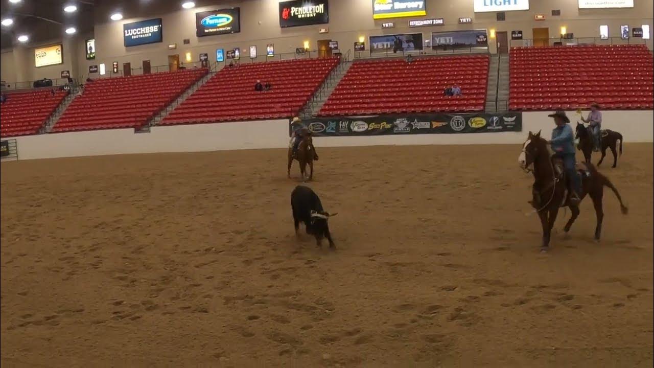 2023 World Series of Team Roping and rock 'n roll in Las Vegas, South