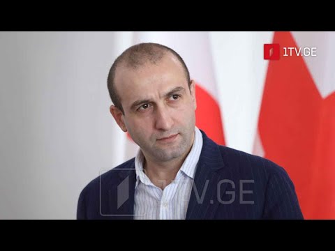 ოპოზიციის გეგმები