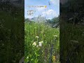 고향만리 #김용빈 #추억의트로트풍경