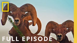 Big Bend: In the Heart of Texas (Full Episode) | America's National Parks screenshot 4
