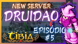From Level 70 to 80 in One Stamina Boost and 2 More - Druid from Zero on a New Tibia Server