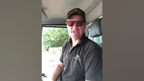 Video 1 Pleached Tree Planting To Give Your Garden Privacy