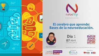 Download Lagu DÍA 1- Neuroeducación Aplicada a la Práctica Pedagógica Download Lagu DÍA 1- Neuroeducación Aplicada a la Práctica Pedagógica