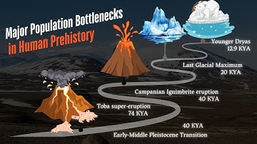 Major Population Bottlenecks in Human Prehistory