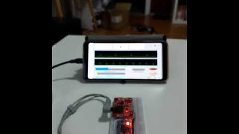 Personal ECG Monitor