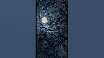 ارح سمعك و قلبك 🤍 قرآن كريم 🤍 اكتب شيئا تؤجر عليه 🤍