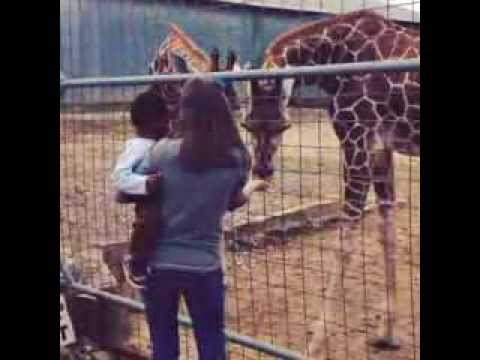 animal safari near me animal safari near me