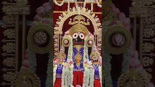 Netramani mote karichi guni #bhakti #jayjagannath #viral #devotional #odia #jaga #kalia