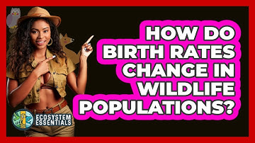 How Do Birth Rates Change In Wildlife Populations? - Ecosystem Essentials