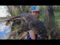 Sand flat fishing for huge flathead