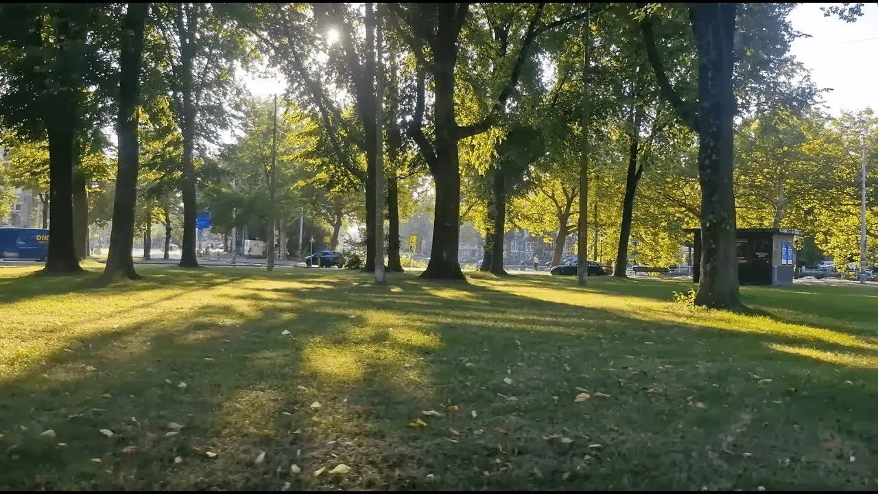 🚊Amsterdam Tram 14 | Spinvis 🎵