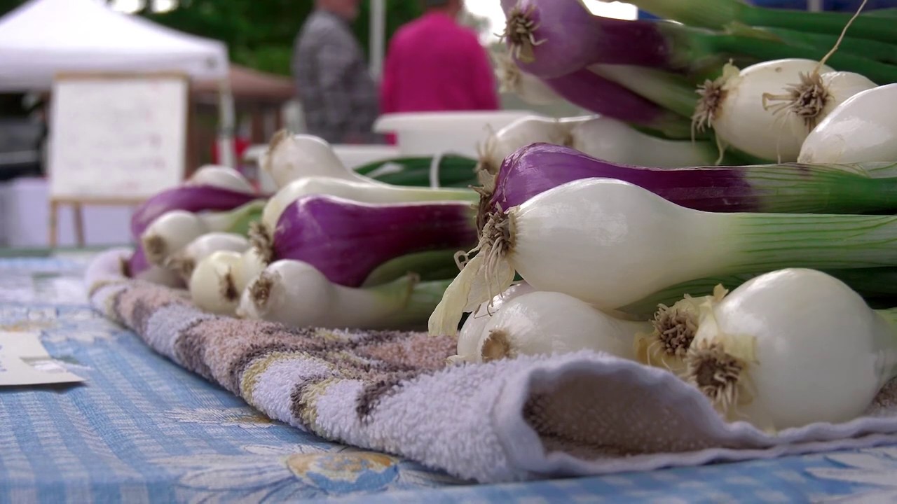 Geneseo Farmers Market June 13th, 2020 YouTube