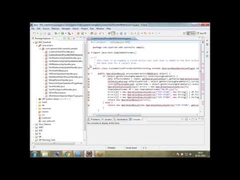Informatica MDM Import java Project Eclipse