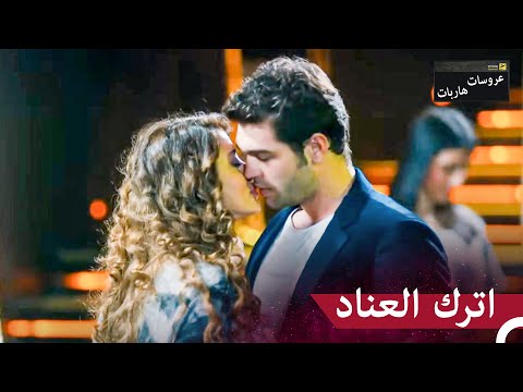 شيبنم أفقدت سليم عقله عروسات هاربات 