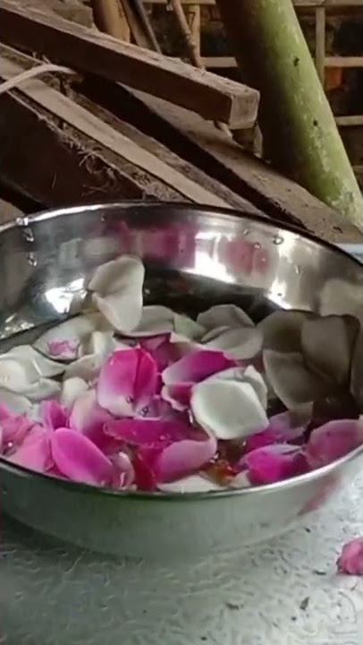 Kalah Rupo menang dupo