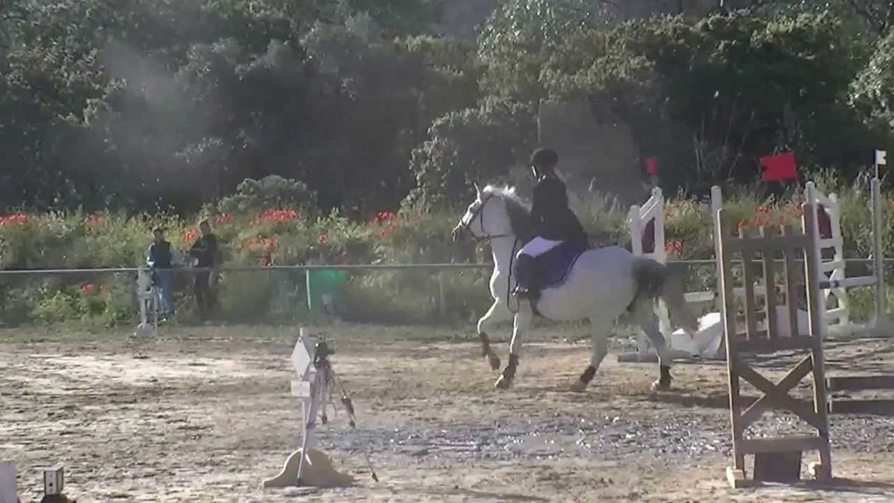 Laura Chomel et Loufoque. Poney3D Championnat Régional PACA, Berre l'étang, La Sabretache