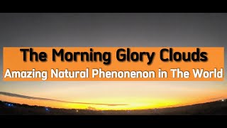 Wonderful Natural Phenomenon in The World | The Morning Glory Clouds