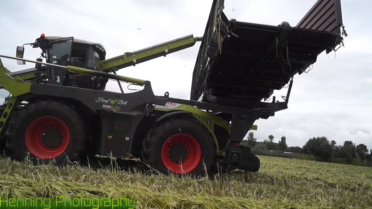 Hanfernte in Holland 2015. [HD]