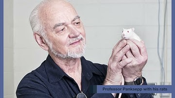 Unit 2: A lecture about Laughter