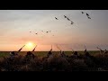 Now This is What I'm Talkin About!! Unlikely Goose Hunt Turns Epic