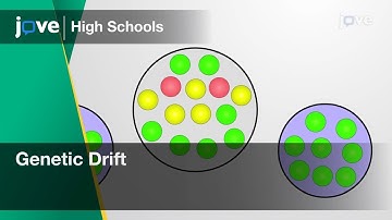 Genetic Drift | Bio | Video Textbooks - Preview