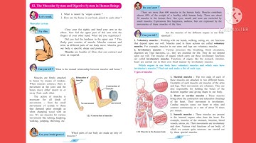 Std. 7th 12.The Muscular and Digestive System in Human Beings