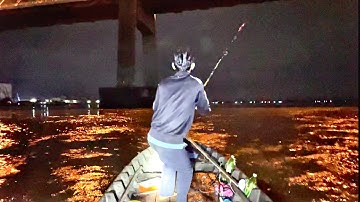 cầu mỹ thuận 2 : Thủy quái kéo cắm đầu Khoa đen  ||Trí Nguyễn 64Vlog #20