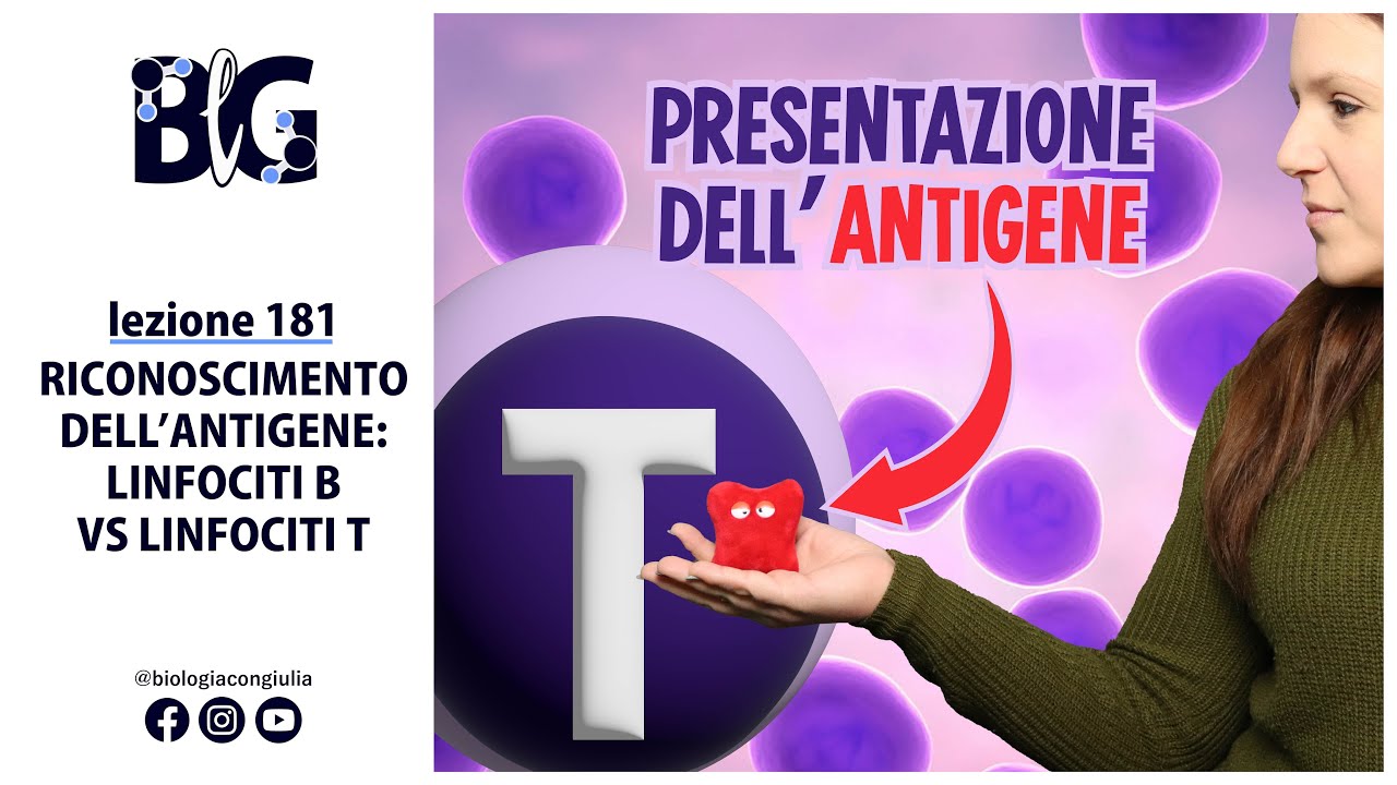 RICONOSCIMENTO dell'ANTIGENE : LINFOCITI B vs LINFOCITI T