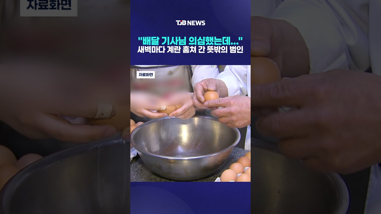 "배달 기사 의심했는데…" 새벽마다 계란 훔쳐 간 뜻밖의 범인｜ TJB 대전·세종·충남뉴스