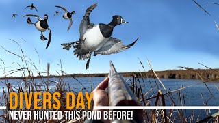 First Hunt on Untouched Public Pond | Ringnecks Everywhere!