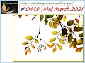 Ashrama Gardens Photo Video # 0449 - March 22, 2021 Edition - Mid March 2021 Clicks