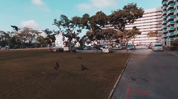 Pigeon Escape! | Reptile Cloud-149 & DJI Osmo Action Rocksteady! | Epic Cinematic by RomanSenykMusic