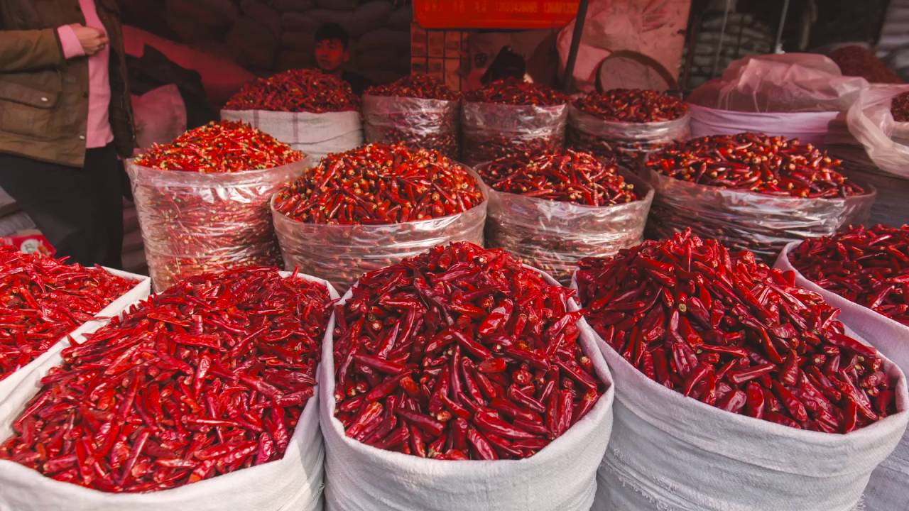 China Food Adventure - Intrepid Travel