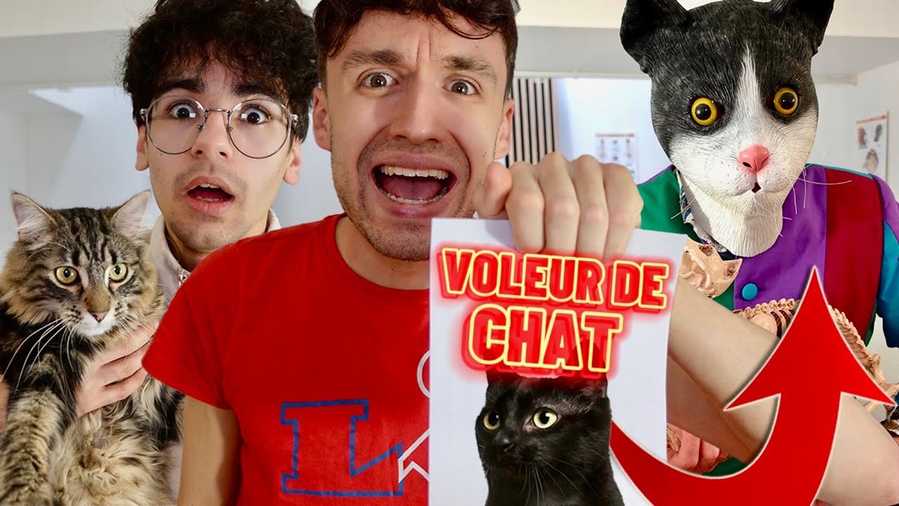 UN VOLEUR DE CHAT EST ENTRÉ CHEZ NOUS ! ON VA CHEZ LE VETERINAIRE ! - PINK LILY