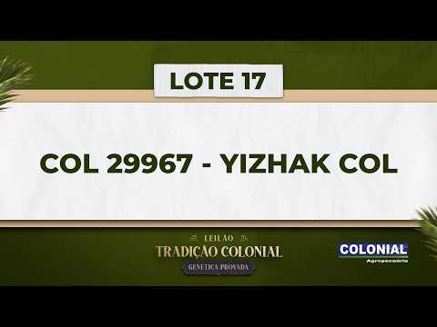 LOTE 17   COL 29967   YIZHAK COL