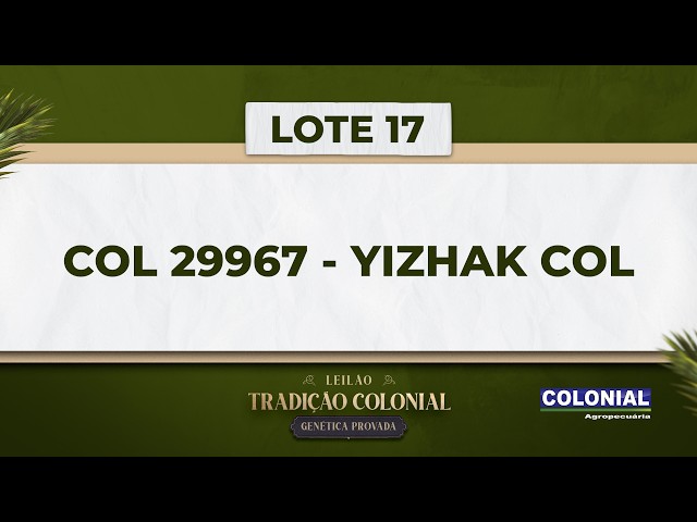 LOTE 17   COL 29967   YIZHAK COL