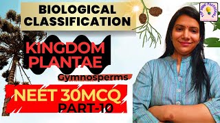 Gymnosperms NEET 30 MCQ Class 11 Biology NCERT Biological Classification By Reema Sharma