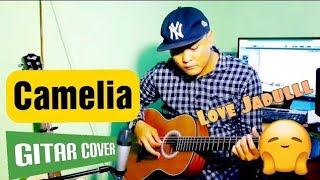 Camelia Irwansyah Boekan Fingerstyle - Andreynz Cover Gitar Akustik