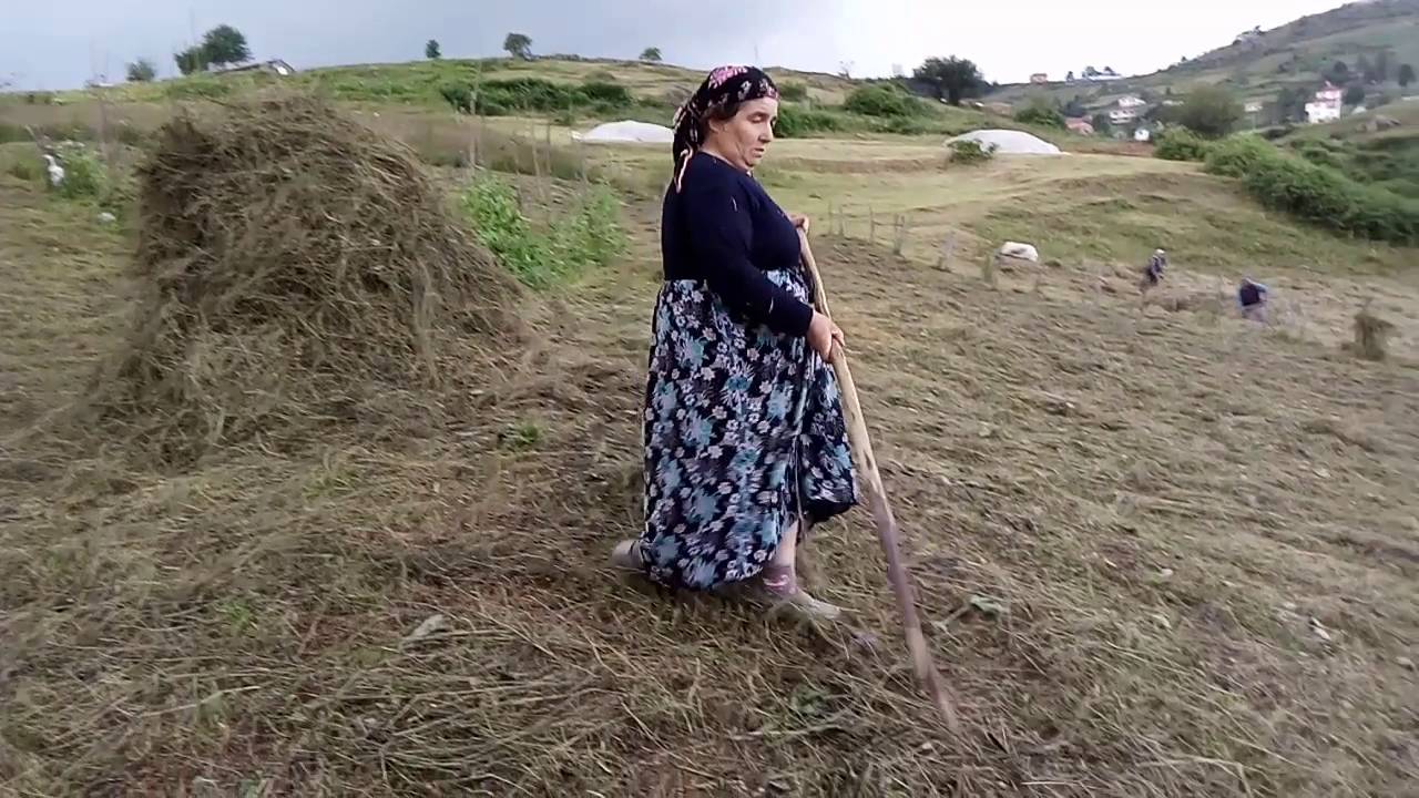 Turnalık yaylasında ot balya zamanı