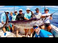 SUPER FAST *XL*Swordfish! Catch/Clean/Cook