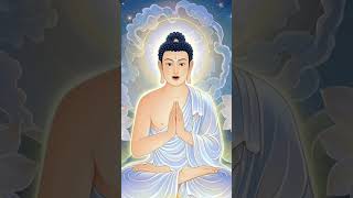 행동하는 사람이 진짜입니다 | 부처님 가르침 🙏