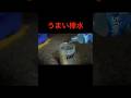 《うまい棒水》　天才小学生のヤバすぎる夏休み４　#バンカラジオ　#切り抜き　#ショート動画　#やねすけ　#きいた