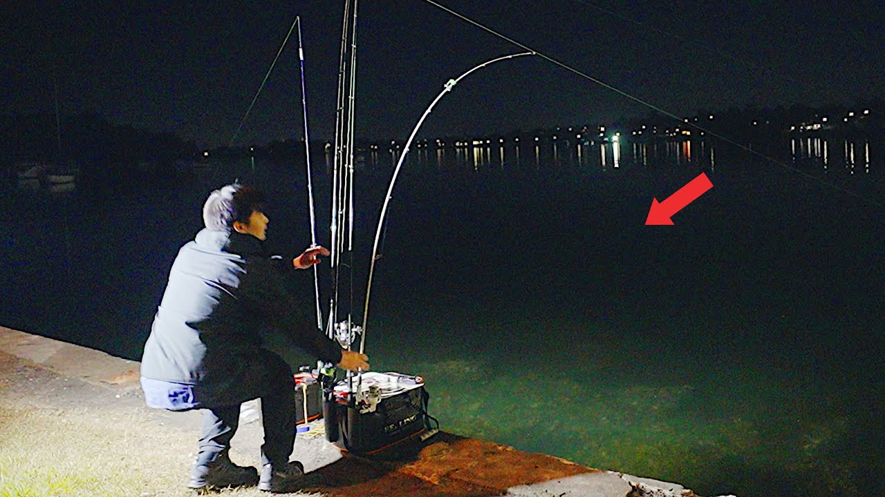 Bait fishing several nights (The fish are biting!)