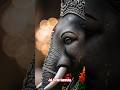 Jai Shree Ganesha 🙏🎉#ganapatibappa #gajanana #jaisreeganesha #shortfeed #short