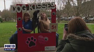 Valentine's Day kissing booth for you and your dog | FOX 13 Seattle