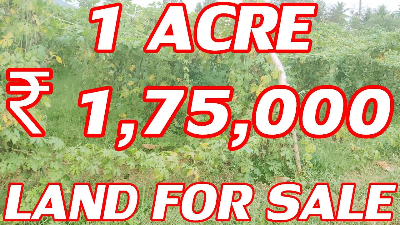 1 ACRE LAND FOR SALE COST ACRE ₹ 1,75,000 / BITTER GOURD GARDEN