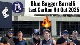 Blue Bagger Borrelli At Ikon Park Carltons Last Hit Out For 2025 With Special Guests Rocky U0026 Rambo