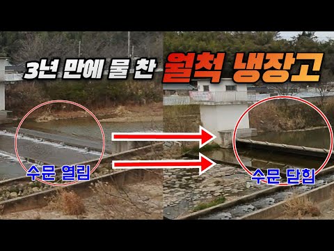 3년 만에 물 찬 나의 <strong>월척</strong> 냉장고