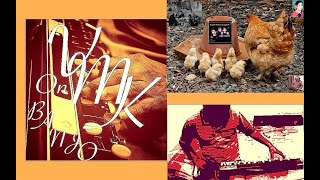 Sevanthige Chandinantha Muddu Koli Kannada Instrumental Karaoke Cover On bulbultarang banjo