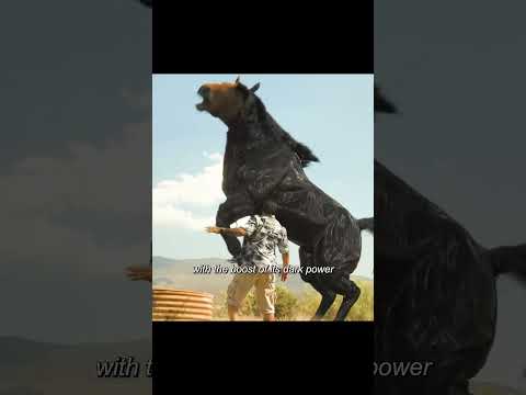 he's partner saved him from the police #movieshorts #movie #foryou#usa